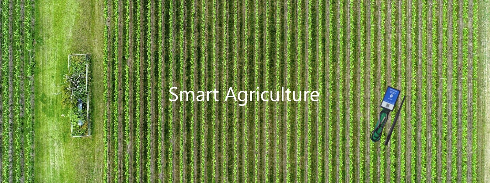 Digitalisierung Landwirtschaft